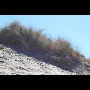 Meet your Posher, Beatrice